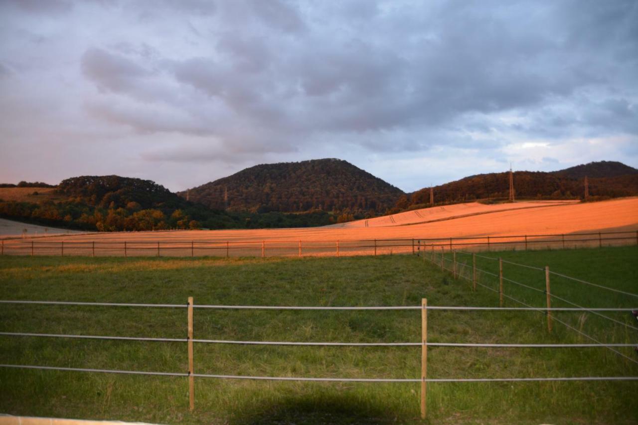 Sieben-Berge-Haus Pension Bruggen  Buitenkant foto